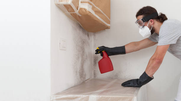 Professional Basement Mold Remediation technician working in Flower Mound, TX