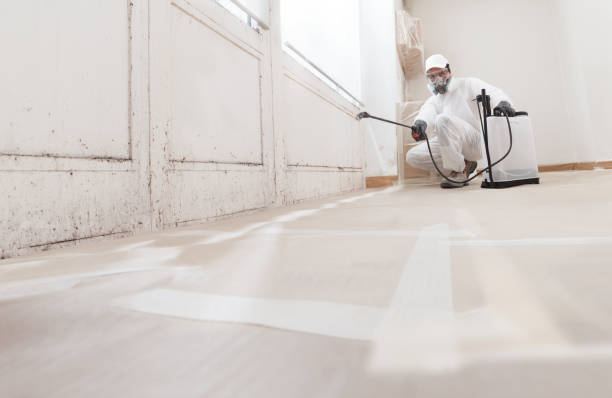 24/7 Emergency Basement Mold Remediation experts in Flower Mound, TX
